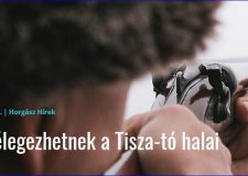 Fellélegezhetnek a Tisza-tó halai – 2020.02.07. | Horgász Hírek