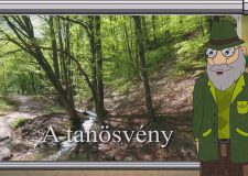 M5 TV – Erdő Ernő bácsi meséi – Mi az a tanösvény? – 2020/23. adás – 2020.07.04.