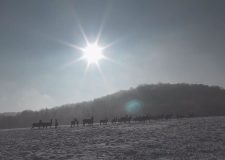 M5 TV – Erdei utakon – Reviczky Gáborral – 2023/51. adás – 2023.12.24.