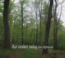 M5 TV – Nemzeti Kincsünk az Erdő – Az erdei talaj és típusai – 2024/15. adás – 2024.04.14.