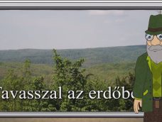 M5 TV – Erdő Ernő bácsi meséi – Tavasszal az erdőben – 2024/15. adás – 2024.04.14.