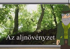 M5 TV – Erdő Ernő bácsi meséi – Az aljnövényzet – 2025/15. adás – 2025.04.13.