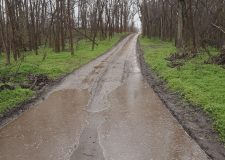 M5 TV – Téli csapadékhiány, legyengült tavaszi erdő – 2025/15. adás – 2025.04.13.