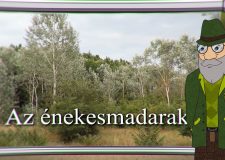 M5 TV – Erdő Ernő bácsi meséi – Az énekesmadarak – 2025/22. adás – 2025.06.01.