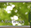 M5 TV – Erdő Ernő bácsi meséi – A zöld levelek – 2025/24. adás – 2025.06.15.