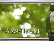 M5 TV – Erdő Ernő bácsi meséi – A zöld levelek – 2025/24. adás – 2025.06.15.