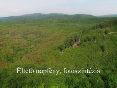 M5 TV – Nemzeti Kincsünk az Erdő – Éltető napfény, fotoszintézis – 2025/26. adás – 2025.06.29.