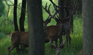 M5 TV – Erdei utakon – 2025/26. adás – 2025.06.29.