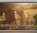M5 TV – Erdő Ernő bácsi meséi – A természetfotósok – 2025/31. adás – 2025.08.03.