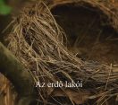 M5 TV – Nemzeti Kincsünk az Erdő – Az erdő lakói – 2025/39. adás – 2025.09.28.