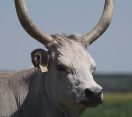 M5 TV – 50 éves a Kiskunsági Nemzeti Park – 2025/38. adás – 2025.09.21.