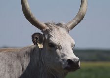 M5 TV – 50 éves a Kiskunsági Nemzeti Park – 2025/38. adás – 2025.09.21.