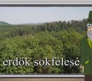 M5 TV – Erdő Ernő bácsi meséi – Az erdők sokfélesége – 2025/42. adás – 2025.10.19.