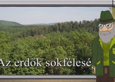 M5 TV – Erdő Ernő bácsi meséi – Az erdők sokfélesége – 2025/42. adás – 2025.10.19.