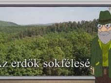 M5 TV – Erdő Ernő bácsi meséi – Az erdők sokfélesége – 2025/42. adás – 2025.10.19.