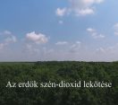 M5 TV – Nemzeti Kincsünk az Erdő – Az erdők szén-dioxid lekötése – 2025/42. adás – 2025.10.19.
