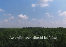 M5 TV – Nemzeti Kincsünk az Erdő – Az erdők szén-dioxid lekötése – 2025/42. adás – 2025.10.19.