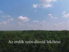 M5 TV – Nemzeti Kincsünk az Erdő – Az erdők szén-dioxid lekötése – 2025/42. adás – 2025.10.19.