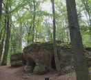 M5 TV – A bakonyi Likas-kő és környezete – 2025/41. adás – 2025.10.12.