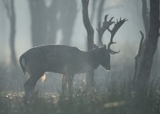 M5 TV – Erdei utakon – 2025/42. adás – 2025.10.19.