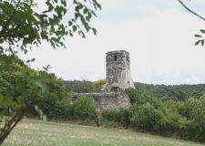 M5 TV – Erdei utakon – Ajánló – 2025/44. adás – 2025.11.02. vasárnap 16:40