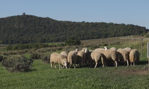 M5 TV – Erdei utakon – Ajánló – 2025/41. adás – 2025.10.12. vasárnap 16:40