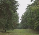 M5 TV – Látogatás a Fenyőfői Ősfenyves védett erdejében – 2025/42. adás – 2025.10.19.