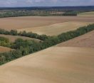 M5 TV – A mezővédő erdősávok szerepe – 2025/42. adás – 2025.10.19.