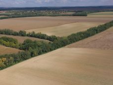 M5 TV – A mezővédő erdősávok szerepe – 2025/42. adás – 2025.10.19.