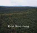 M5 TV – Nemzeti Kincsünk az Erdő – Erdei életközösség – 2025/45. adás – 2025.11.09.
