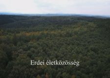 M5 TV – Nemzeti Kincsünk az Erdő – Erdei életközösség – 2025/45. adás – 2025.11.09.
