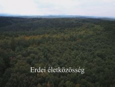M5 TV – Nemzeti Kincsünk az Erdő – Erdei életközösség – 2025/45. adás – 2025.11.09.