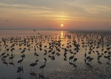 M5 TV – Erdei utakon – 2025/47. adás – 2025.11.23.