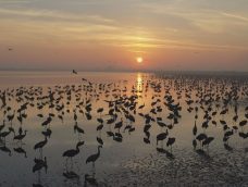 M5 TV – Erdei utakon – 2025/47. adás – 2025.11.23.