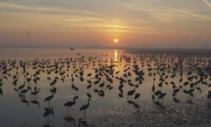 M5 TV – Erdei utakon – 2025/47. adás – 2025.11.23.