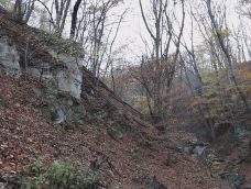 M5 TV – Sikeres fejlesztés a pilisi Holdvilág-árokban – 2025/49. adás – 2025.12.07.