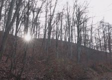 M5 TV – Erdei utakon – Ajánló – 2025/49. adás – 2025.12.07. vasárnap 16:40