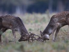 M5 TV – Erdei utakon – 2026/1. adás – 2026.01.04.