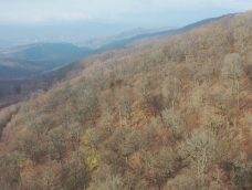 M5 TV – Erdőanya a Pilisben – az örökerdő-gazdálkodás alapjai – 2025/49. adás – 2025.12.07.