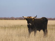 M5 TV – Erdei utakon – 2025/49. adás – 2025.12.07.