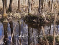 M5 TV – Nemzeti Kincsünk az Erdő – Erdők és csapadék – 2026/2. adás – 2026.01.11.