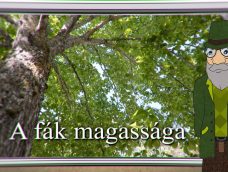 M5 TV – Erdő Ernő bácsi meséi – A fák magassága – 2026/3. adás – 2026.01.18.