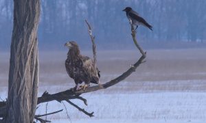 M5 TV – Erdei utakon – 2026/4. adás – 2026.01.25.