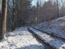 M5 TV – Erdei utakon – Ajánló – 2026/2. adás – 2026.01.11. vasárnap 16:40