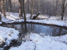 M5 TV – Vízmegtartás a börzsönyi erdőségekben – 2026/2. adás – 2026.01.11.