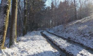 M5 TV – Erdei utakon – Ajánló – 2026/2. adás – 2026.01.11. vasárnap 16:40