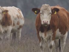 M5 TV – Erdei utakon – 2026/2. adás – 2026.01.11.