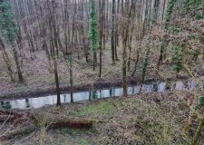 M5 TV – Erdei utakon – Ajánló – 2026/9. adás – 2026.03.01. vasárnap 16:50