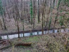 M5 TV – Erdei utakon – Ajánló – 2026/9. adás – 2026.03.01. vasárnap 16:50