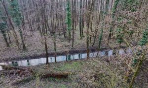 M5 TV – Erdei utakon – Ajánló – 2026/9. adás – 2026.03.01. vasárnap 16:50